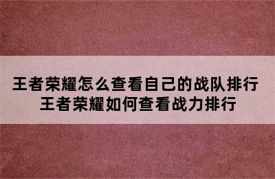 王者荣耀怎么查看自己的战队排行 王者荣耀如何查看战力排行